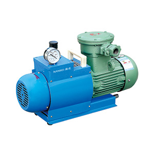 WXF-4 4L/s Anti-explosive oilless rotary vane vacuum pump